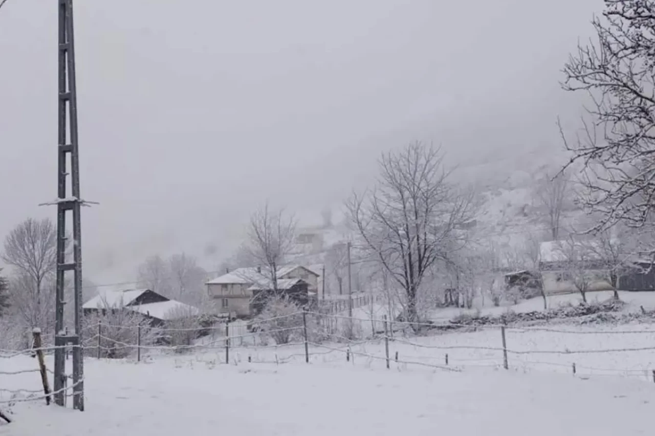 Meteorolojiden gelen son verilere göre, Bolu'da kar yağışı başladı ve Sakarya beyaza büründü.