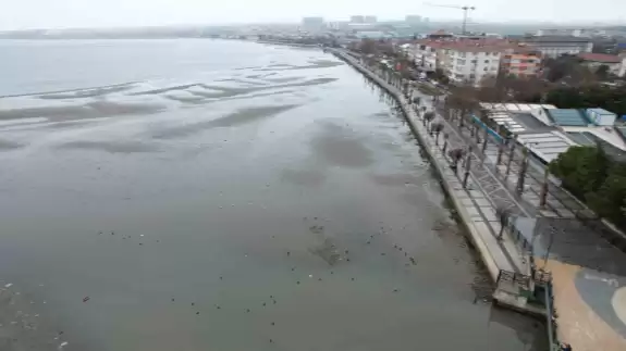 Silivri’de ürküten görüntü: Deniz 150 metre çekildi