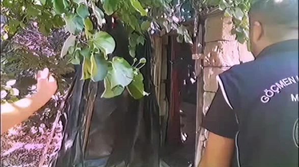 81 ilde düzensiz göç operasyonu: 52 göçmen kaçakçısı ve 666 düzensiz göçmen yakalandı